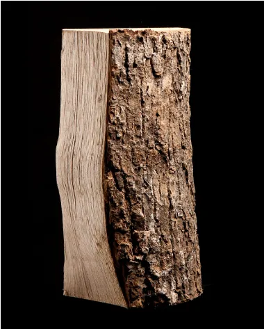 Leña de haya secada en horno – Gran palet de 25/30 cm – foto 2