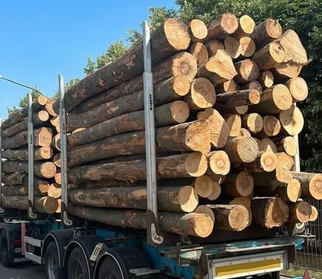Troncos de haya PEFC para transformación – 25 a 200 m³ apilados