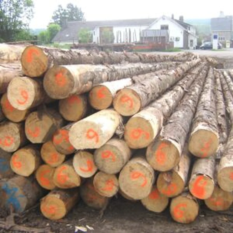 Troncos de maderas duras mixtas PEFC para transformación – 25 a 200 m³