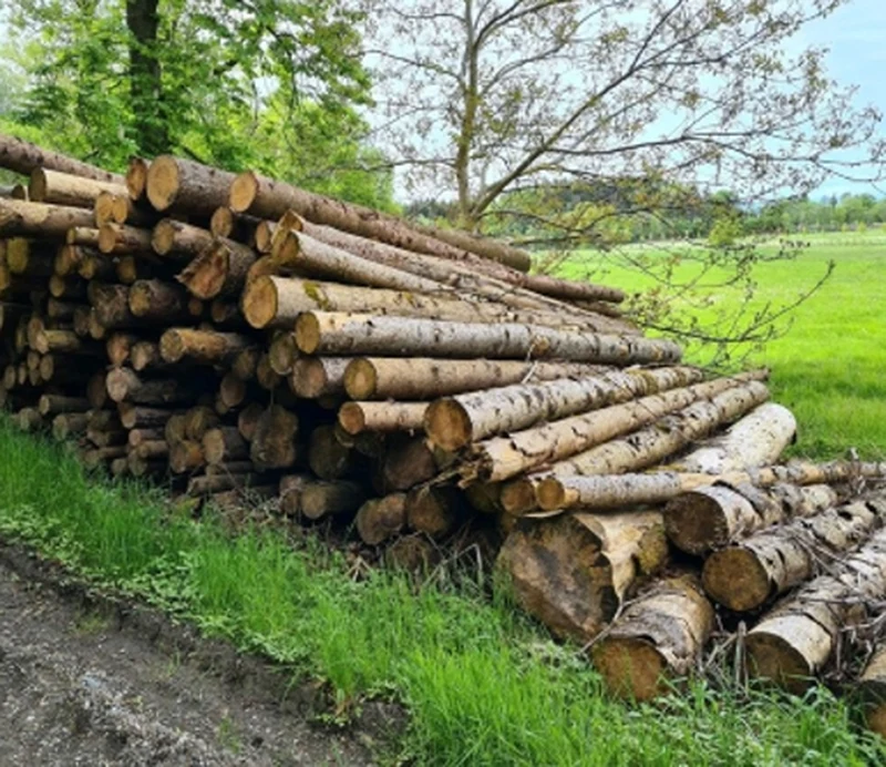 Troncos de pícea PEFC para transformación – 25 a 200 m³ apilados